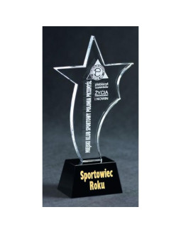 Trofeum szklane grawerowane + wypełnienie farbą 2