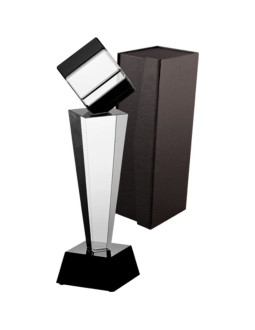 Trofeum szklane z etui 2