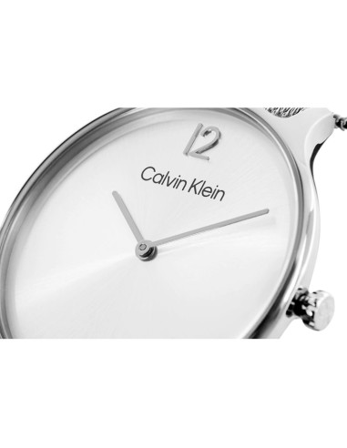 Zegarek damski calvin klein timeless mesh 25200001 + box