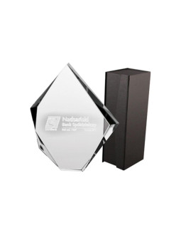 Trofeum szklane grawerowane 3d z etui