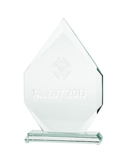 Trofeum szklane grawerowane 3d z etui