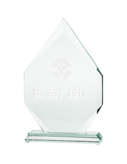 Trofeum szklane grawerowane 3d z etui 2