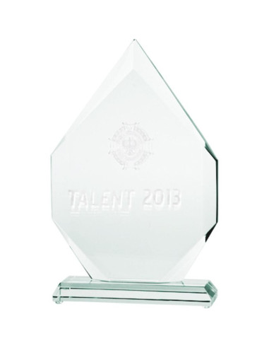 Trofeum szklane grawerowane 3d z etui