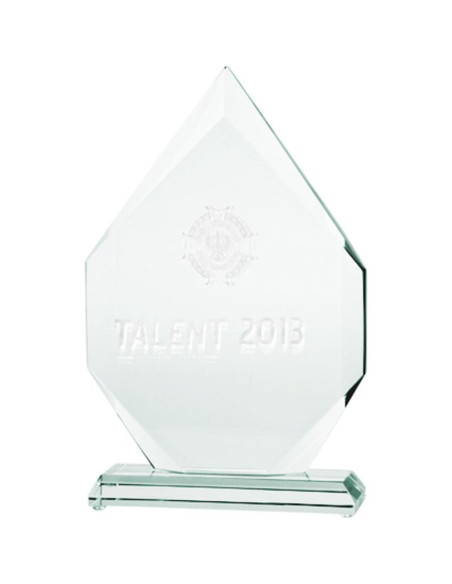 Trofeum szklane grawerowane 3d z etui