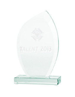 Trofeum szklane grawerowane 3d z etui