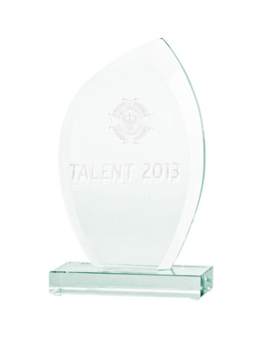 Trofeum szklane grawerowane 3d z etui