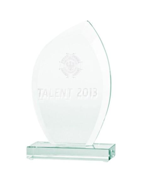 Trofeum szklane grawerowane 3d z etui