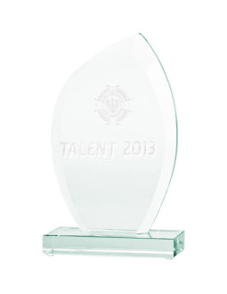 Trofeum szklane grawerowane 3d z etui 2