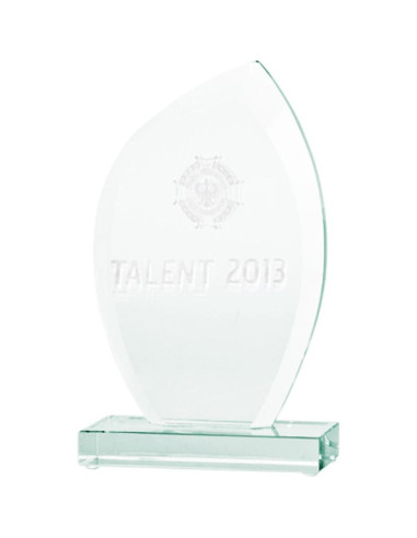 Trofeum szklane grawerowane 3d z etui