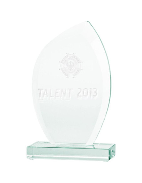 Trofeum szklane grawerowane 3d z etui