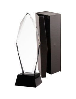 Trofeum szklane z etui 2