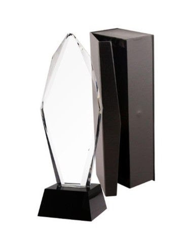 Trofeum szklane z etui