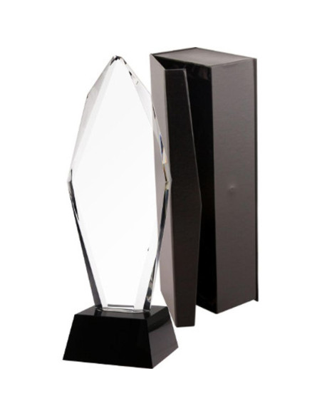 Trofeum szklane z etui