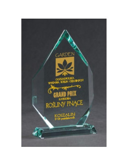 Trofeum szklane grawerowane z etui +wypełnianie farbą