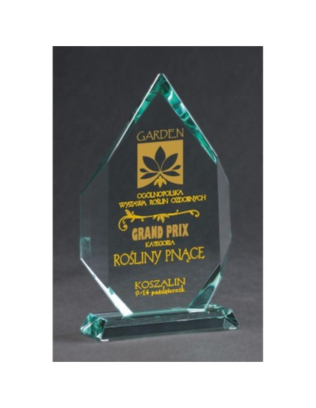 Trofeum szklane grawerowane z etui +wypełnianie farbą