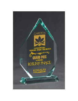 Trofeum szklane grawerowane z etui +wypełnianie farbą 2