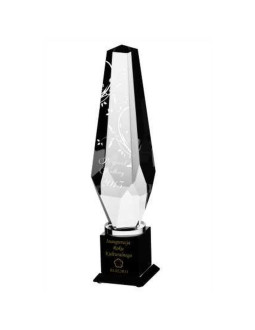 Trofeum szklane grawerowane z etui +wypełnianie farbą