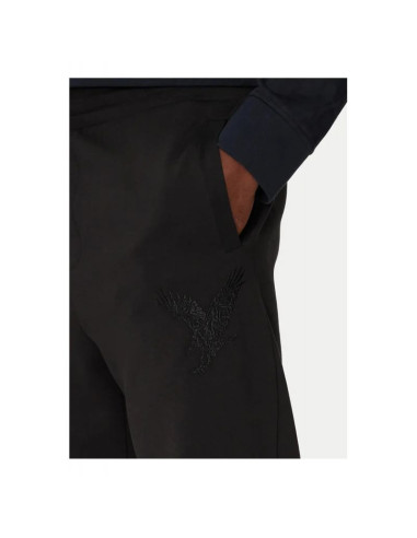 Spodnie sportowe męski armani exchange czarne (6dzpab-zjkbz-1200)