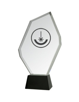 Trofeum szklane grawerowane z etui