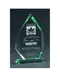 Trofeum szklane grawerowane z etui