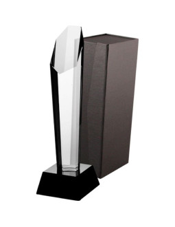 Trofeum szklane z etui