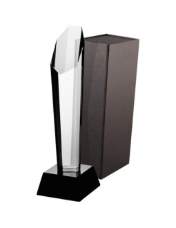 Trofeum szklane z etui 2