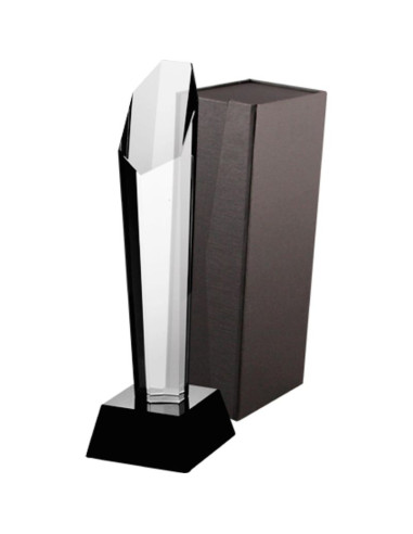 Trofeum szklane z etui