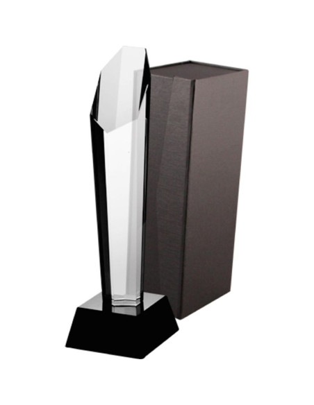 Trofeum szklane z etui