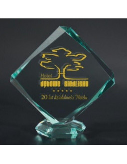 Trofeum szklane grawerowane z etui +wypełnianie farbą 2