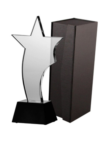 Trofeum szklane z etui