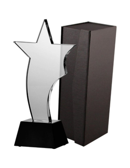 Trofeum szklane z etui