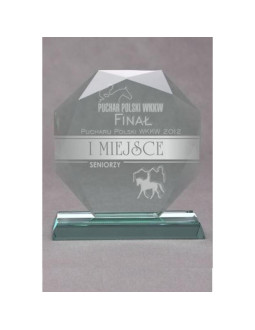 Trofeum szklane grawerowane z etui 2