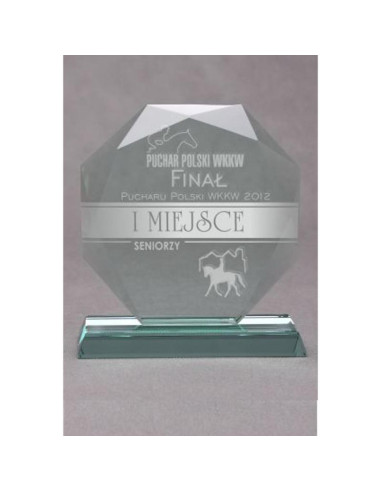 Trofeum szklane grawerowane z etui