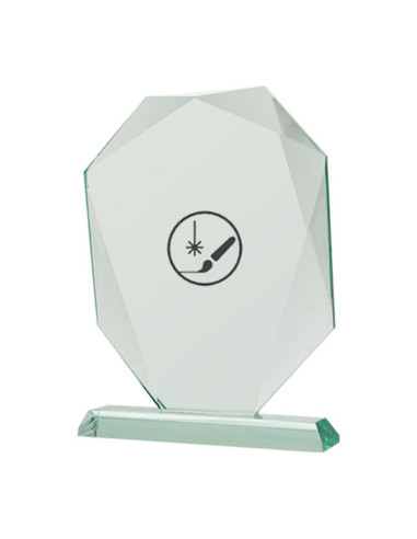 Trofeum szklane grawerowane z etui + wypełnienie farbą