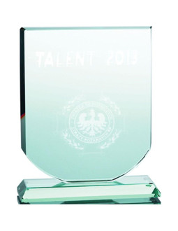 Trofeum szklane grawerowane 3d z etui