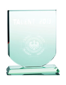 Trofeum szklane grawerowane 3d z etui 2