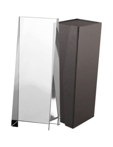 Trofeum szklane z etui