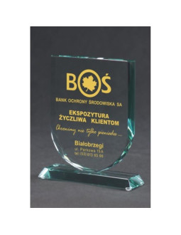 Trofeum szklane grawerowane z etui +wypełnianie farbą 2