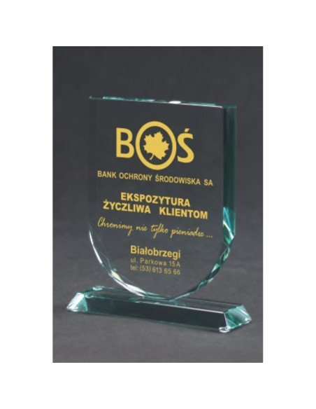 Trofeum szklane grawerowane z etui +wypełnianie farbą