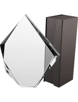 Trofeum szklane z etui