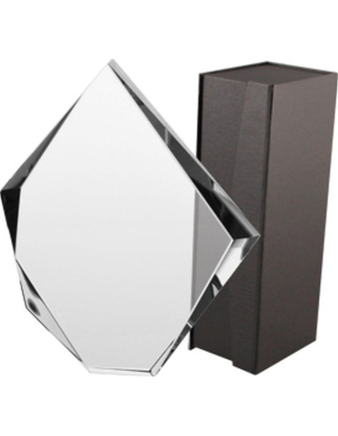 Trofeum szklane z etui