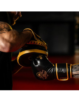 Rękawice bokserskie wielowarstwowe - profighter gold - legacy series 2