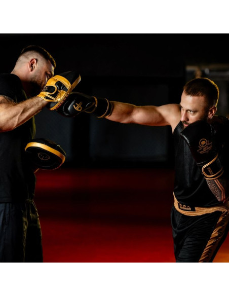 Rękawice bokserskie wielowarstwowe - profighter gold - legacy series