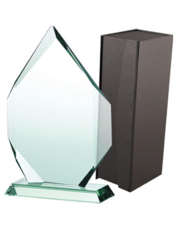 Trofeum szklane z etui
