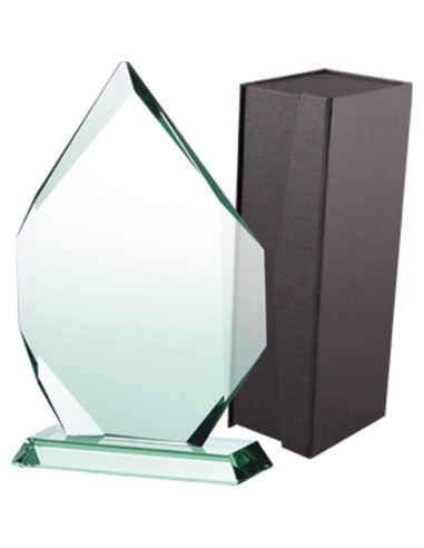 Trofeum szklane z etui