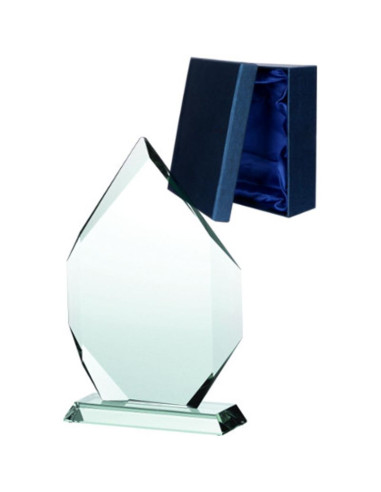 Trofeum szklane z etui