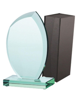 Trofeum szklane z etui