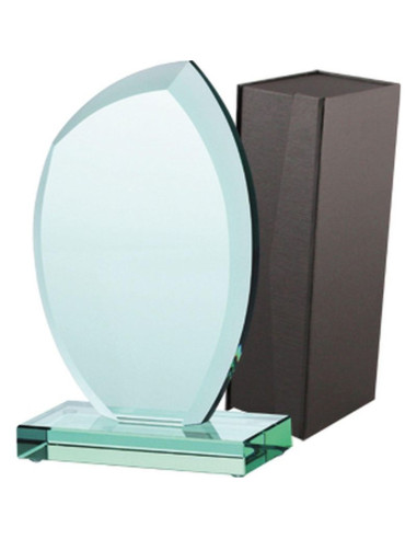 Trofeum szklane z etui