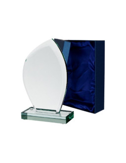 Trofeum szklane z etui 2