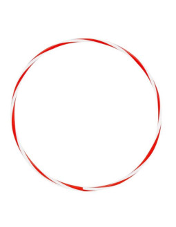 Koło hula-hop hp-dt2024 61 cm